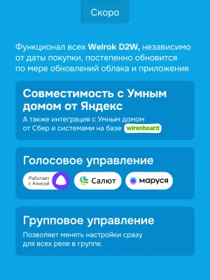 Реле напряжения Welrok D2W-63